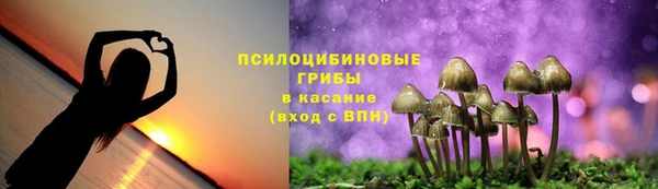 скорость Алзамай
