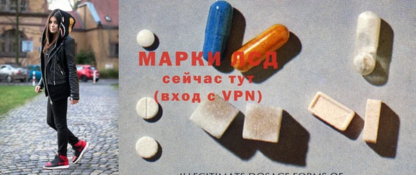ГАЛЛЮЦИНОГЕННЫЕ ГРИБЫ Арсеньев