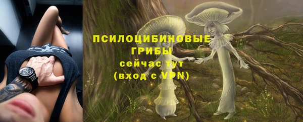 гашишное масло Алексеевка