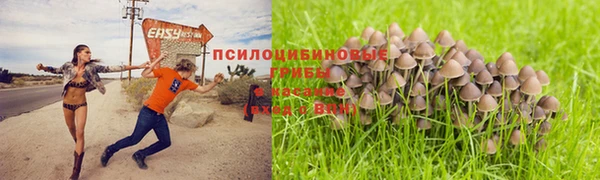 гашишное масло Алексеевка